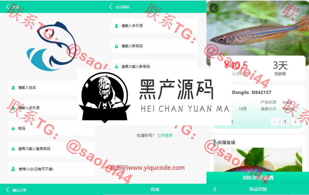 QQ截图20220612011631